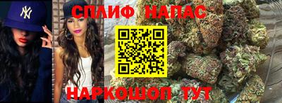 винт Будённовск